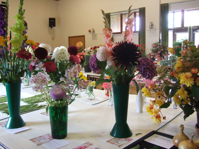 Billingshurst Horticultural Society | 2016 Annual Show