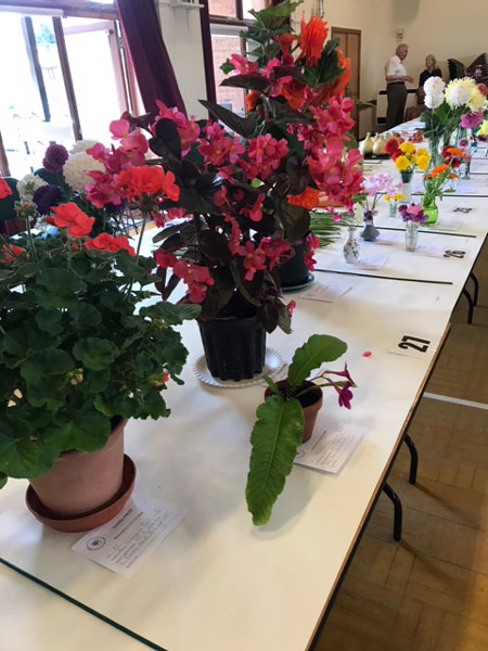 Billingshurst Horticultural Society | 2017 Annual Show